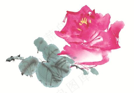 写意花卉系列摄影图片