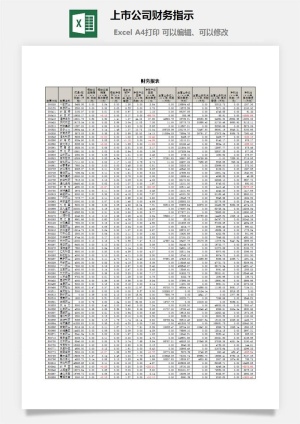 上市公司财务指示excel模板