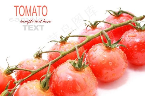 带着水珠的西红柿微距摄影高清图片