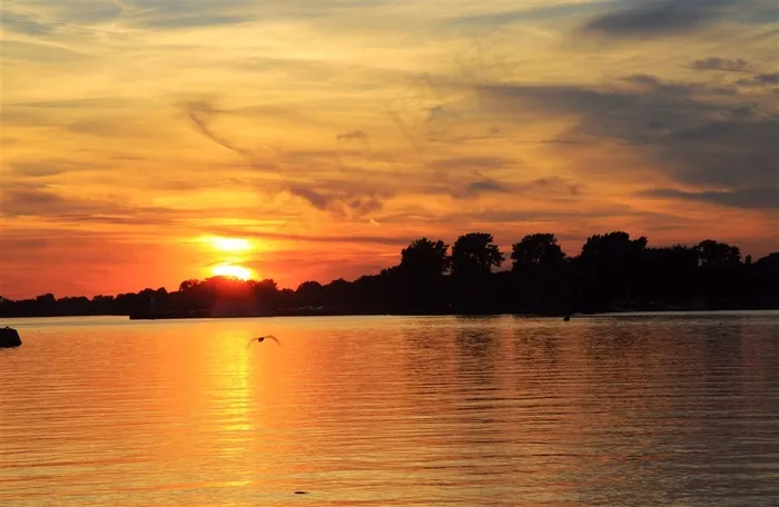 醉美夕阳摄影图片