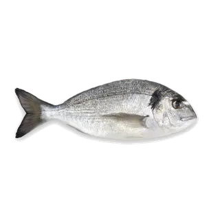 鱼类(79)海鲜超市商品红酒白底图免抠实物摄影png格式图片透明底