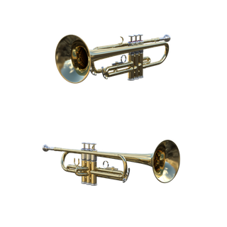 乐器(1)  号  乐器(1)