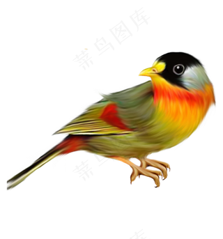 手绘彩色羽毛漂浮小鸟鸟元素