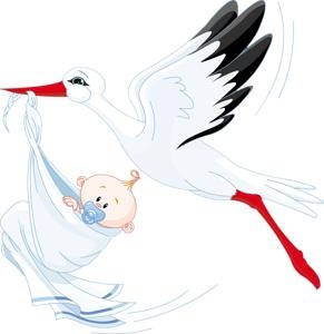 鹳宝宝 PNG免抠(291x300)