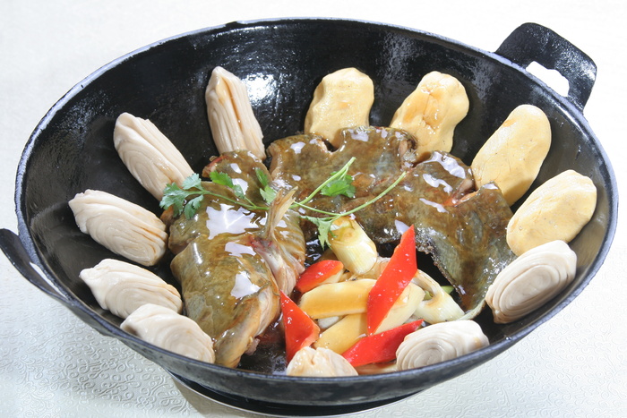 野生鲶鱼 (4)