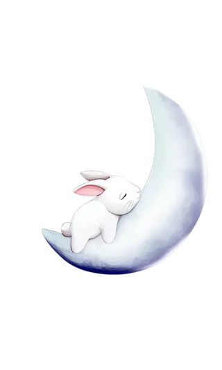 兔子月亮睡觉