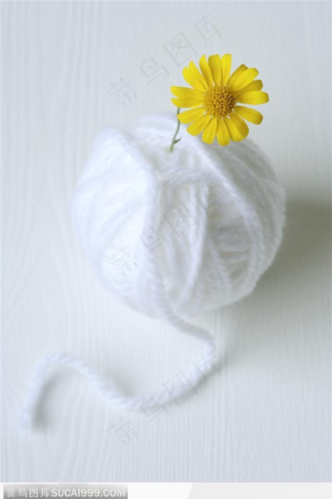 简单生活白毛线中的黄色菊花
