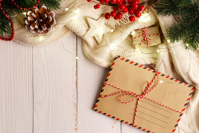 圣诞节垂直画幅场景圣诞装饰圣诞松果明信片(17)