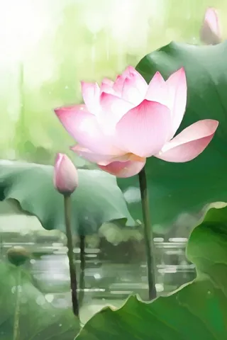 国风荷花水墨节气背景