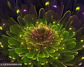 绚丽3d立体花朵高清图