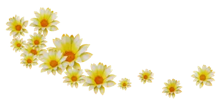 小雏菊卡通简笔