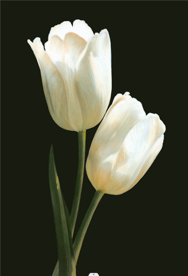 花朵装饰画