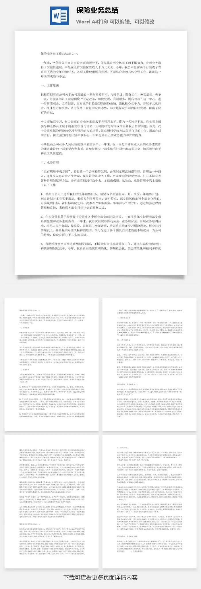 保险业务总结word模板
