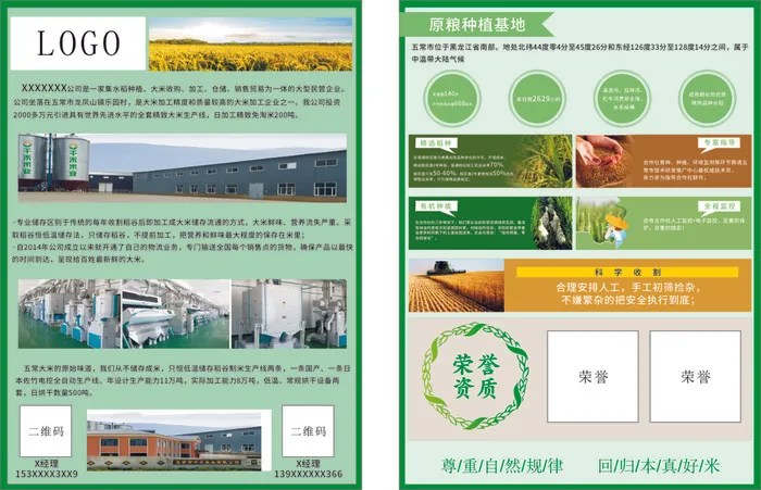 大米宣传单cdr矢量模版下载