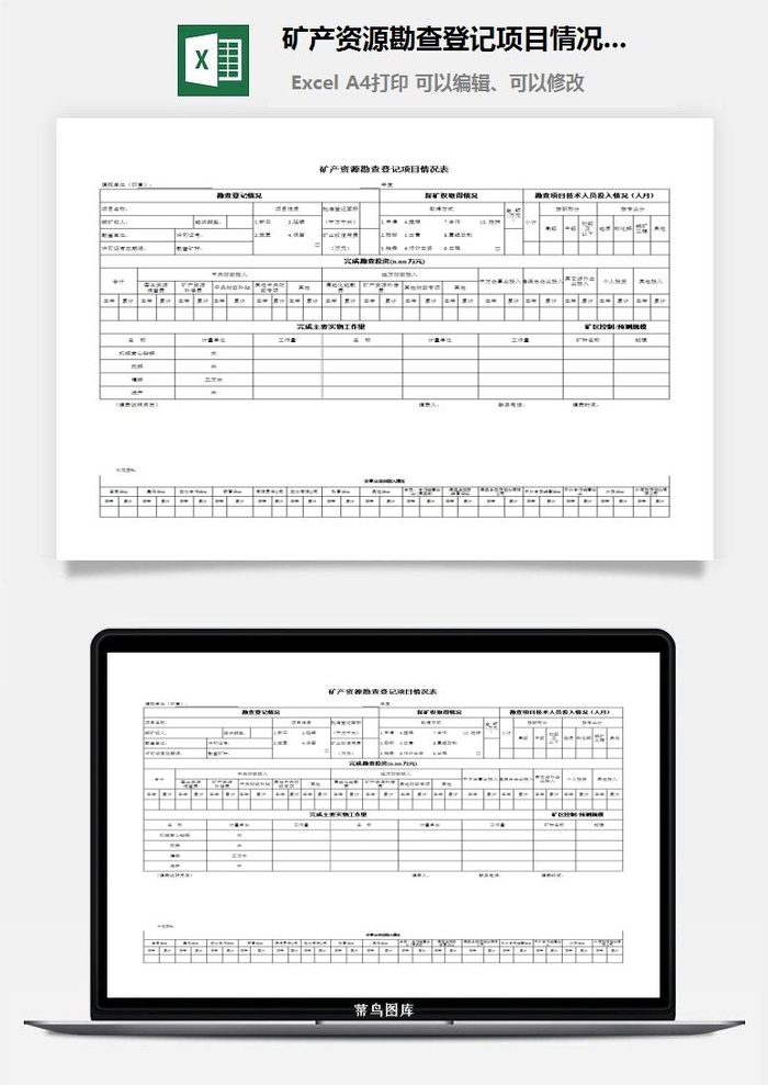 矿产资源勘查登记项目情况表excel模板