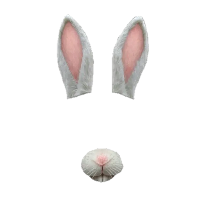 兔子面具卡通