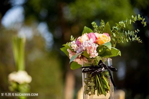 玫瑰花鲜花束插花绿叶花瓶方瓶粉玫瑰香槟玫瑰