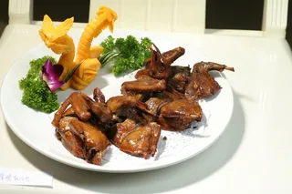 生句乳鸽25元只