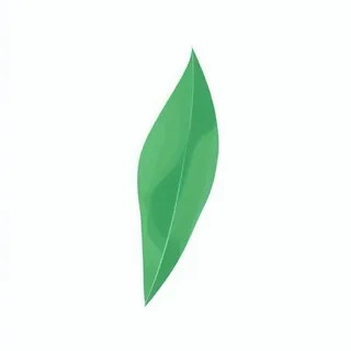 一片绿色叶子png免抠