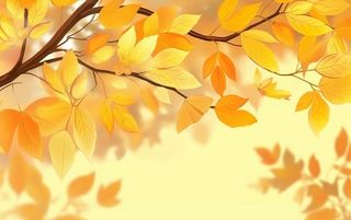 秋天黄色树枝叶子背景
