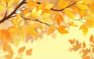 秋天黄色树枝叶子背景