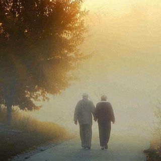 父母年长老人父亲节母亲节温馨落日背影