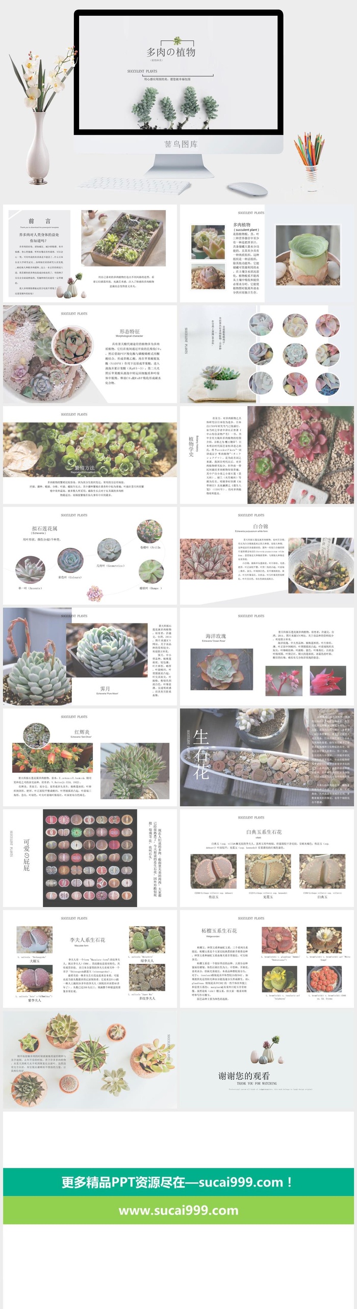 清新 大气 幻灯片模板PPT