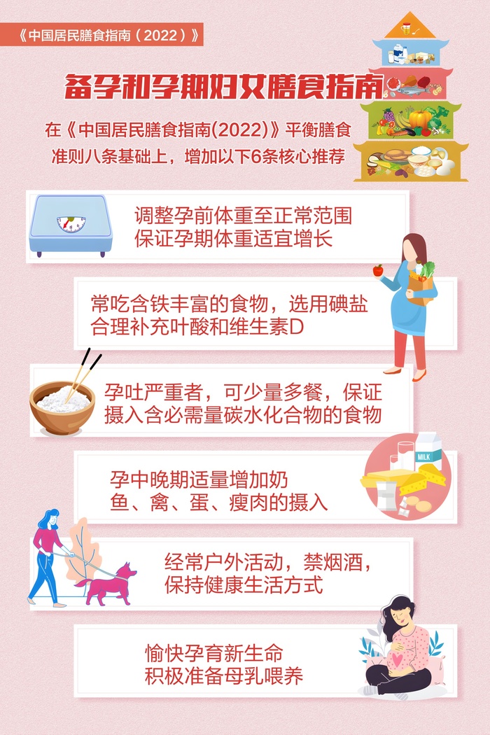 备孕和孕期妇女膳食指南海报cdr矢量模版下载