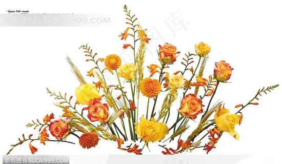 花艺花束-扇形的花束 花艺花束-扇形的花束