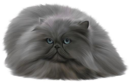 猫毛 PNG免抠(1280x823)