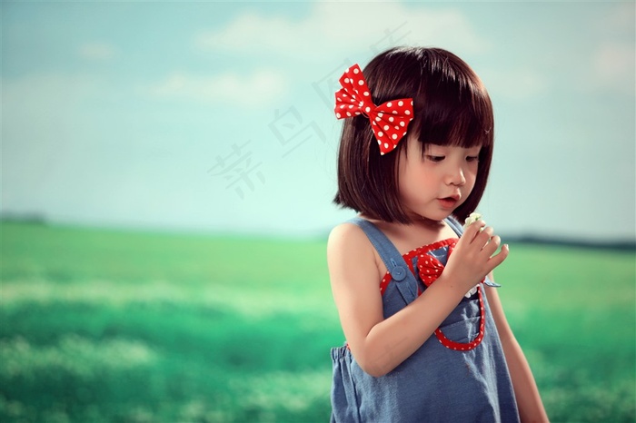 快乐家庭高清特写