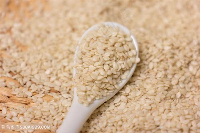 粮食芝麻图片
