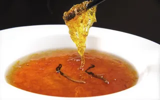 GY00225虫草炖血燕