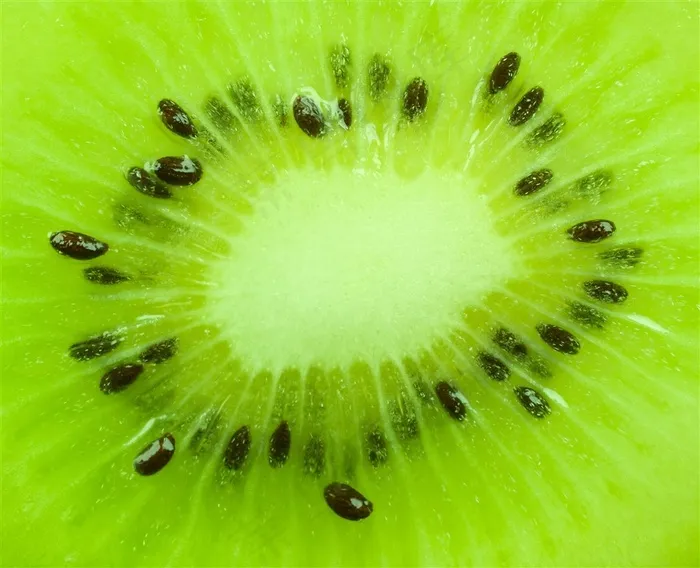 清新绿色猕猴桃果肉特写高清图片