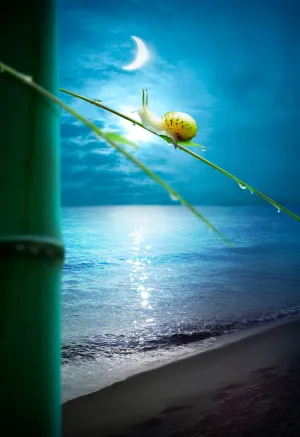  风景海报PSD素材