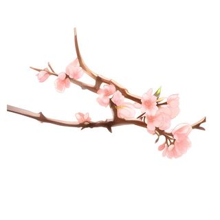 樱花桃花树枝免抠