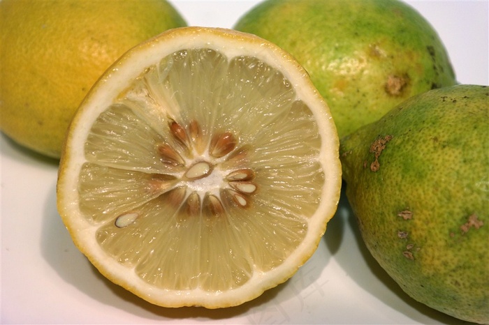 切开的半个新鲜柠檬柠果