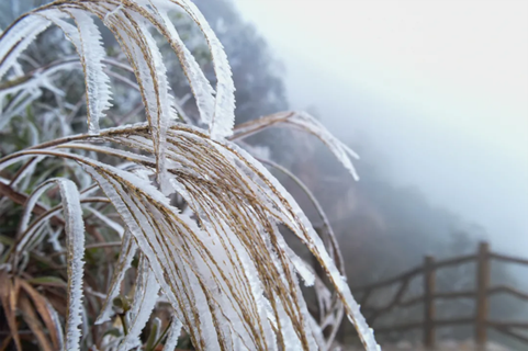 雪景风光摄影图片 雪景风光摄影图片