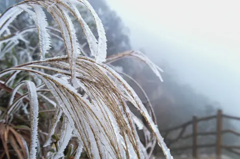 雪景风光摄影图片 雪景风光摄影图片