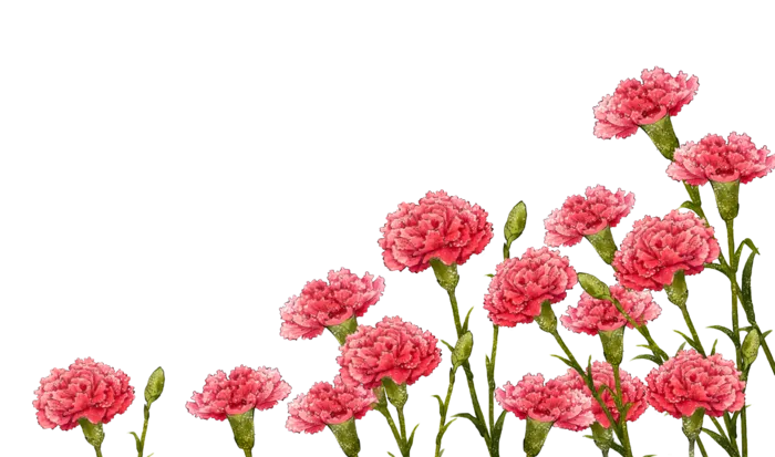 水墨花朵 免抠