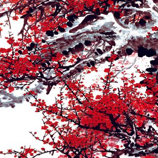 梅花中式装饰画