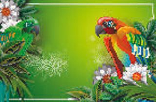 欢迎春天到花开风景