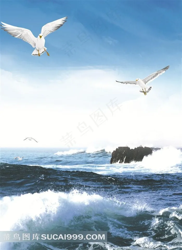 海浪与海鸥设计素材