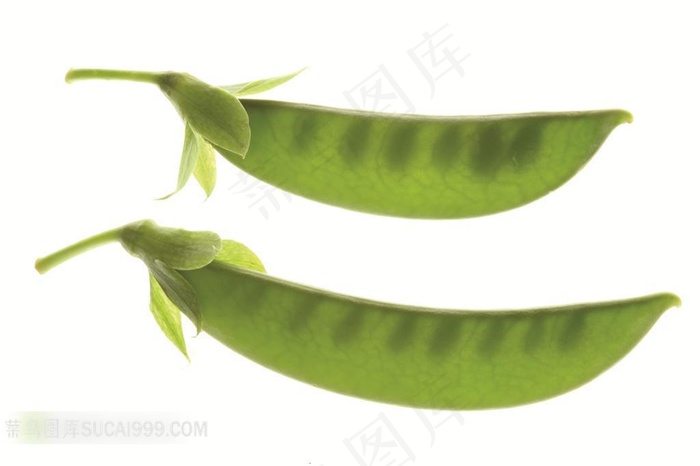 豌豆角高清素材
