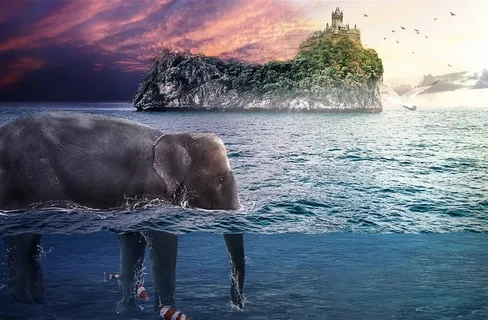 海中的大象风景图片 海中的大象风景图片
