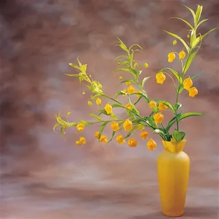 唯美瓶中鲜花图片 唯美瓶中鲜花图片
