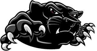 黑豹卡通素材简笔