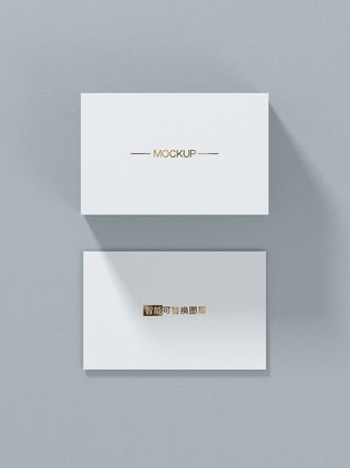 高端大气商务名片样机