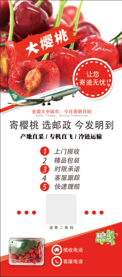 樱桃易拉宝1psd模版下载