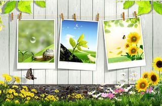 欢迎春天开花背景